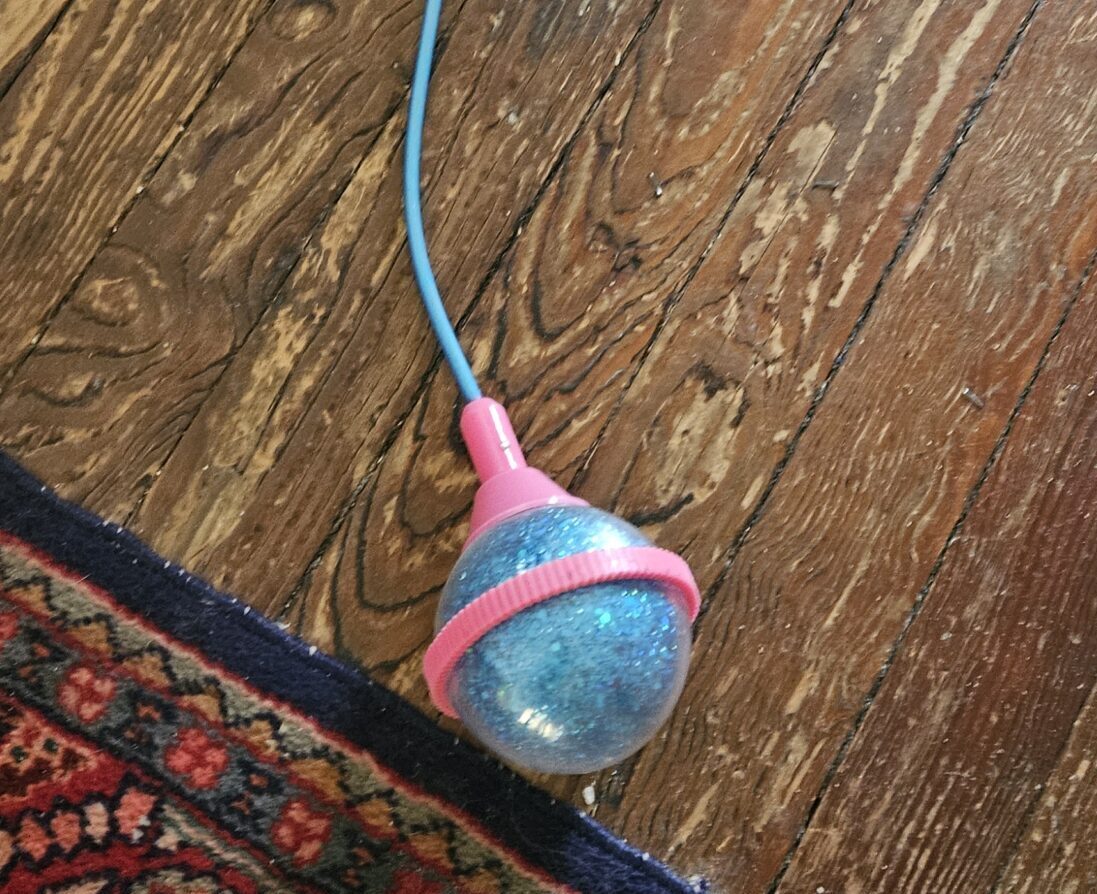 A toy with a ring to go around your ankle and a colorful blue and pink ball at the end of a rope.